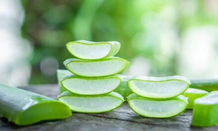 Aloe Vera to Promote Hair Growth ,Hair Recipes Using Aloe