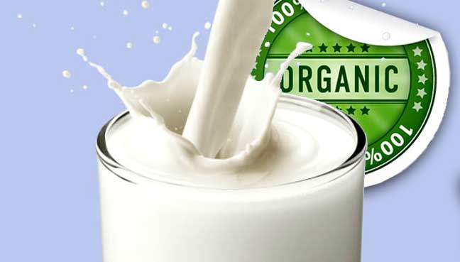 8 Food Items to Include in Your Diet If You Want to Build Muscle