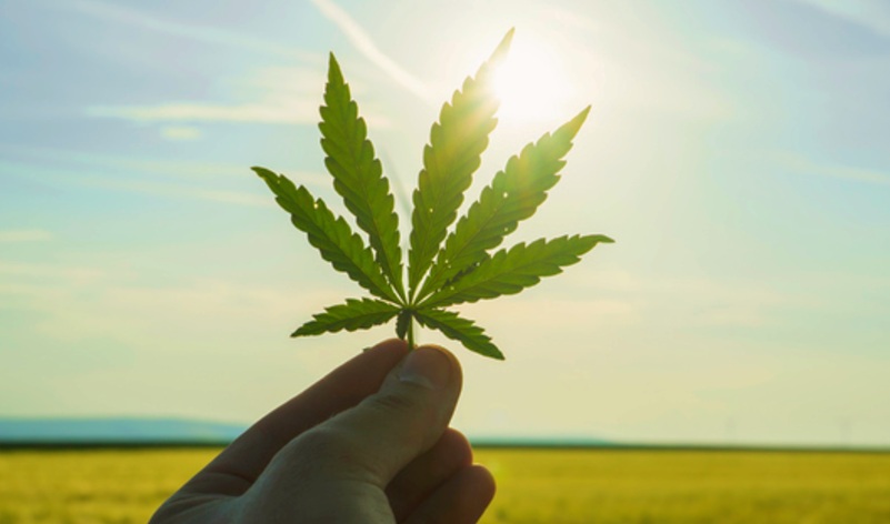 How cannabis can help you to grow your fitness