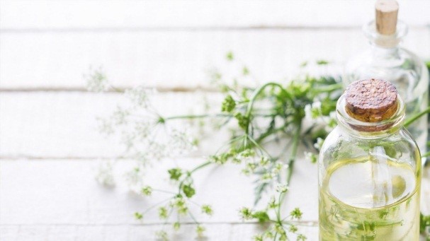 Things You Didn’t Know About Naturopathy