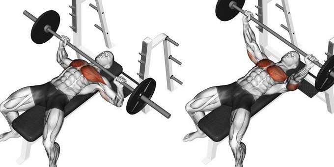 Why you should work on different body parts on different days