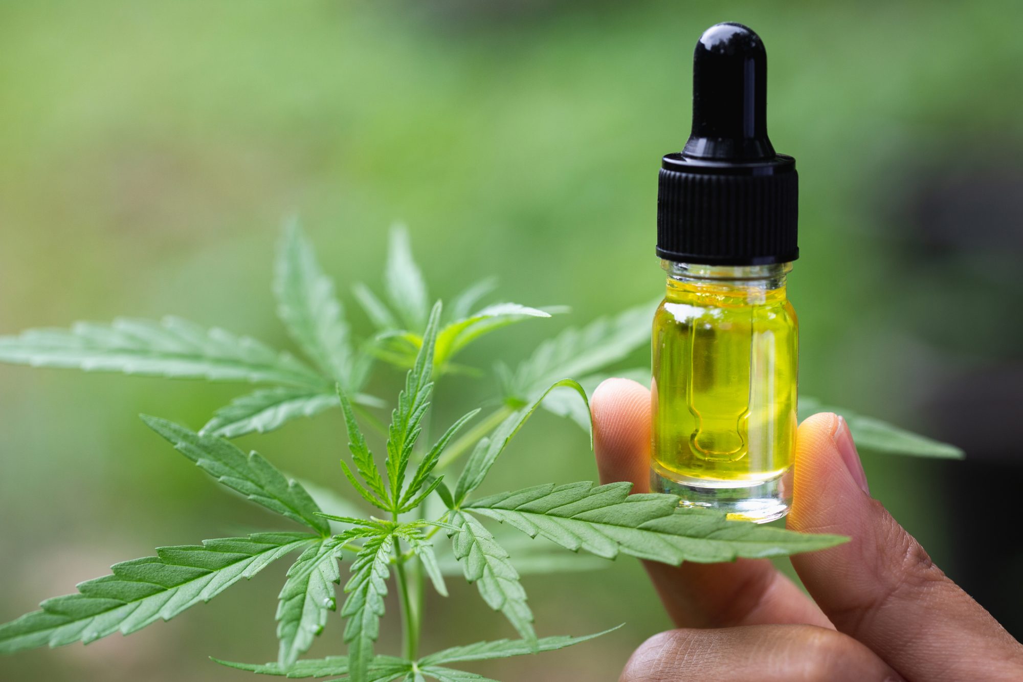 What Actually Is CBD Oil and What Are Its Benefits?