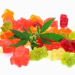 Delta 8 Gummies: All You Need to Know About These Health Treats