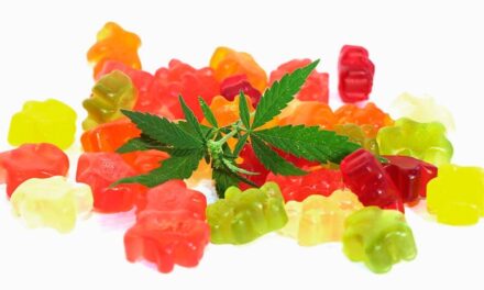Delta 8 Gummies: All You Need to Know About These Health Treats