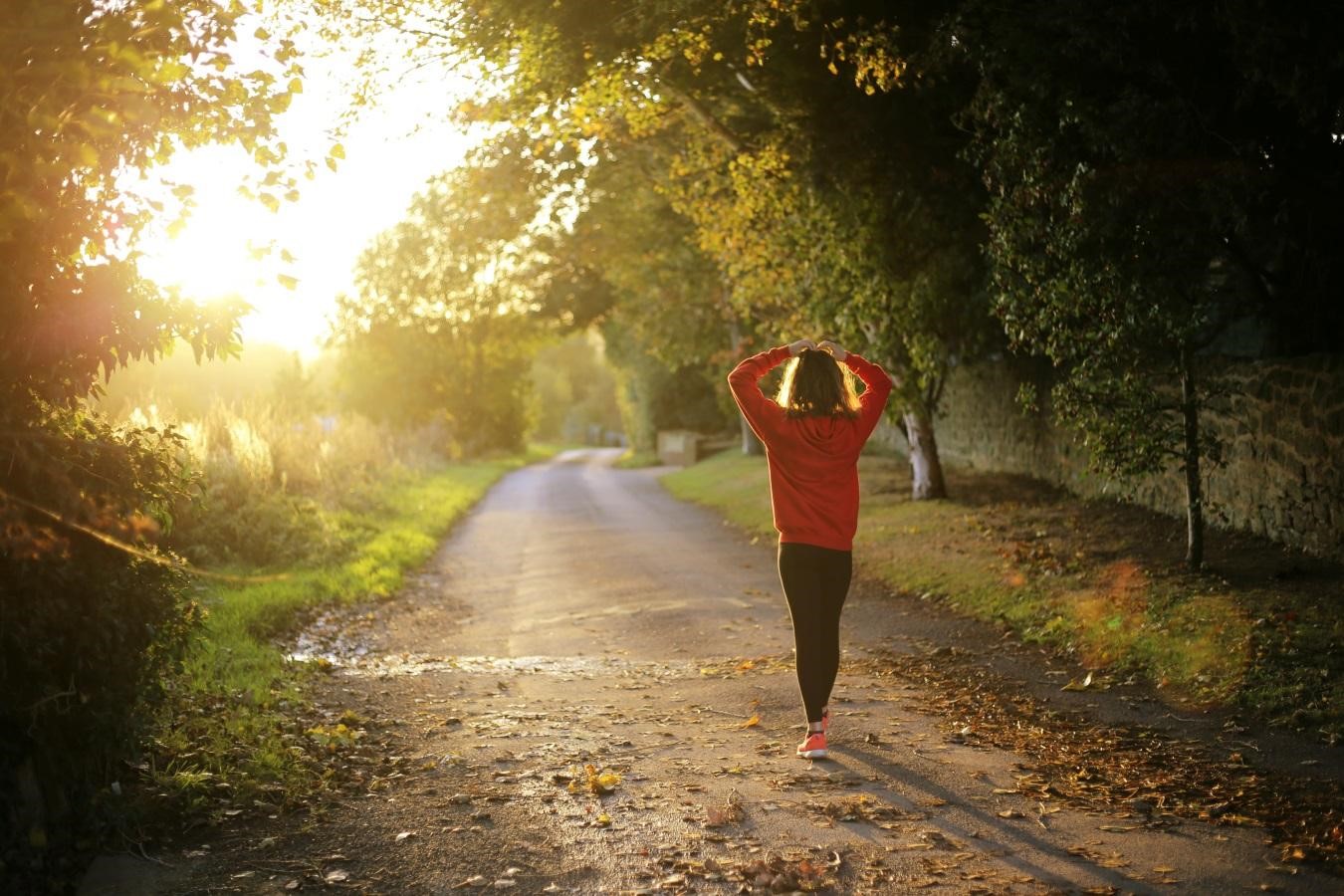 5 Best Wellbeing Wellness Aspects